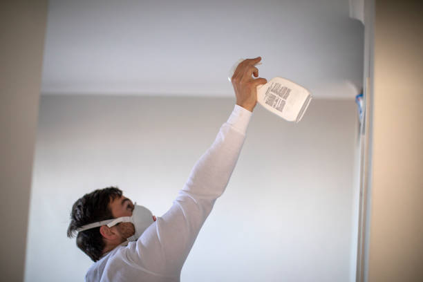 Best Attic Mold Remediation in San Marcos, TX